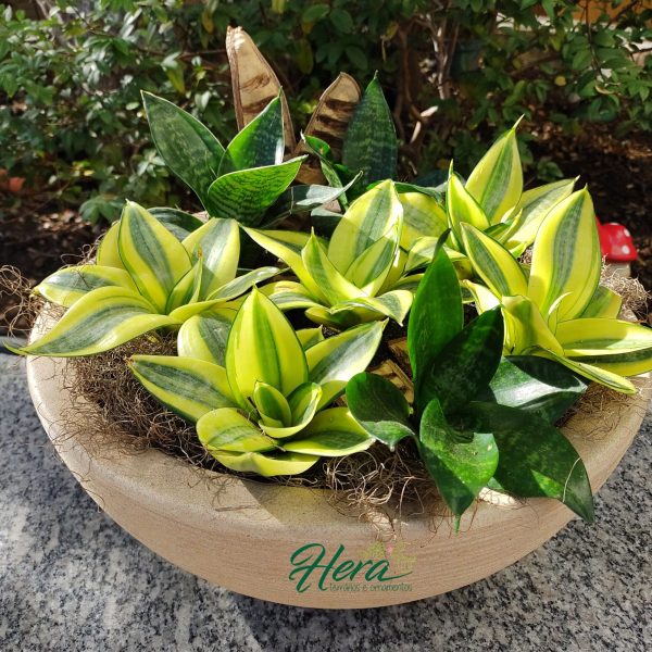 {"fte_image_ids":[],"remix_data":[],"remix_entry_point":"challenges","source_tags":[],"source_ids":{},"source_ids_track":{},"origin":"create_flow","total_draw_time":0,"total_draw_actions":0,"layers_used":0,"brushes_used":0,"photos_added":0,"total_editor_actions":{},"tools_used":{"addons":1,"crop":1},"is_sticker":false,"edited_since_last_sticker_save":true,"containsFTESticker":false}