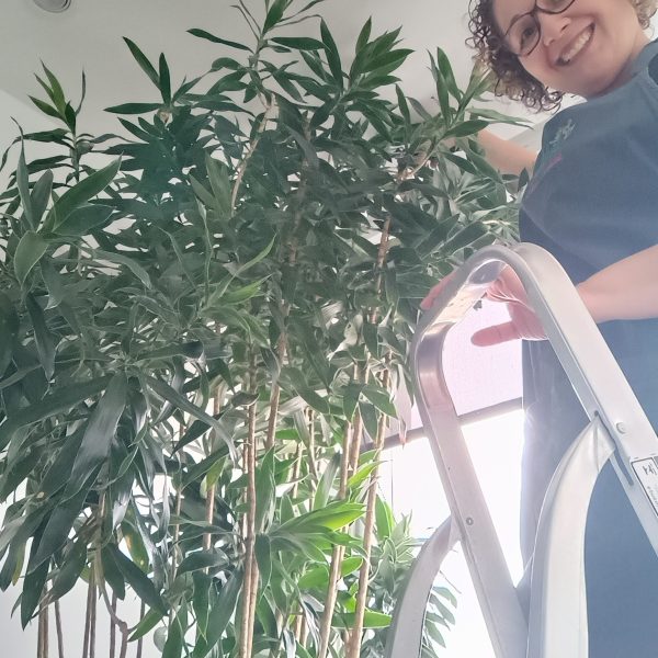 jardinagem-sao-paulo00018