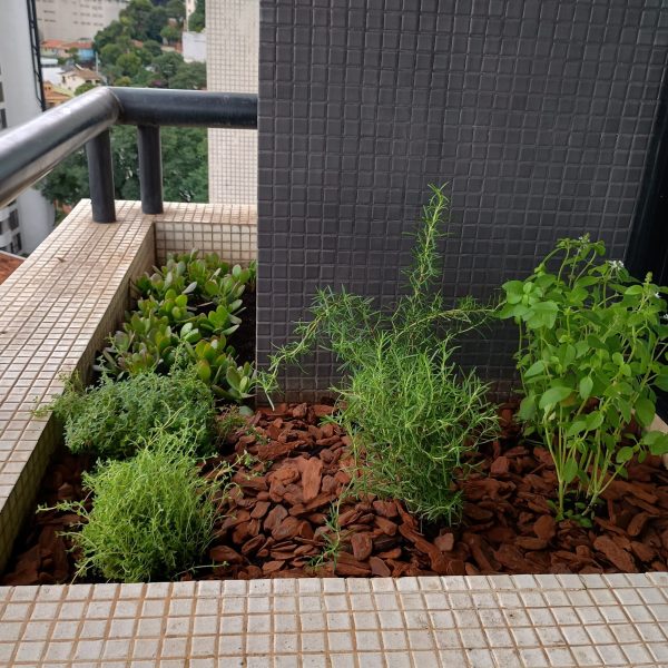 jardinagem-sao-paulo00021