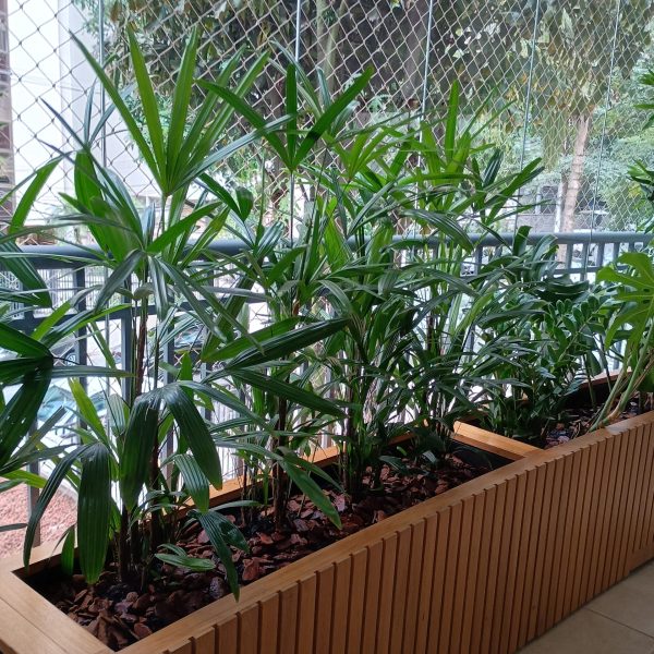 jardinagem-sao-paulo00024