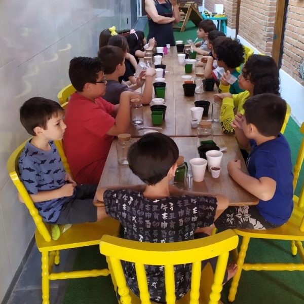 jardinagem-sao-paulo00029