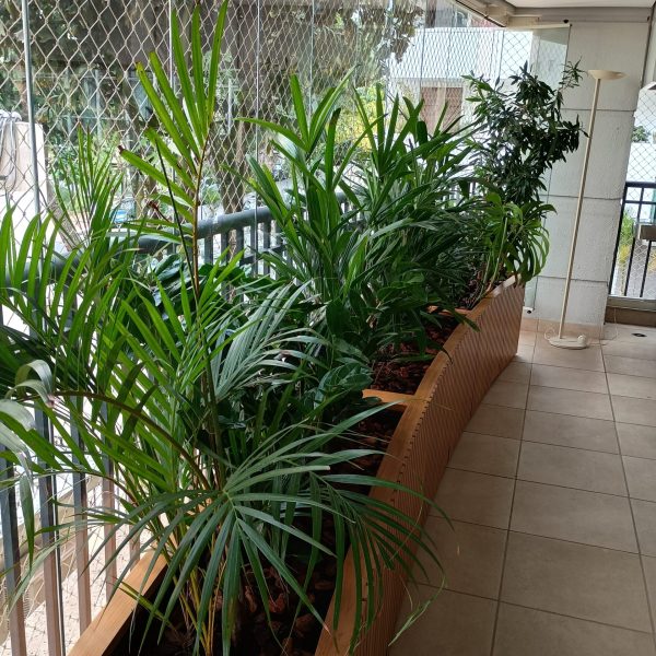 jardinagem-sao-paulo00047