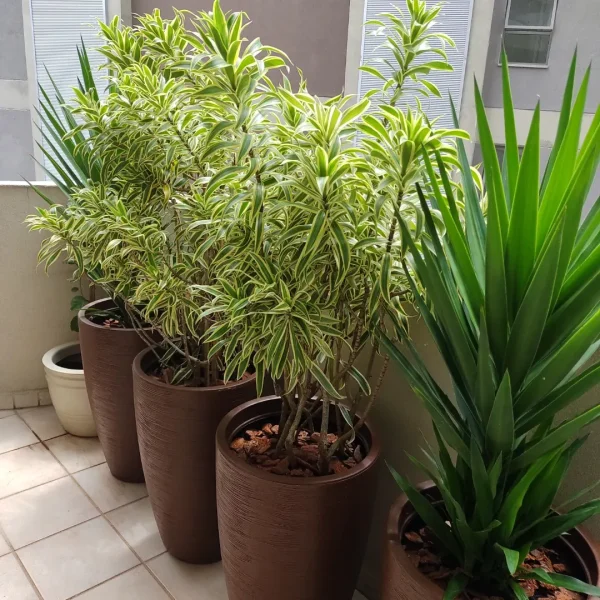 jardinagem-sao-paulo00048