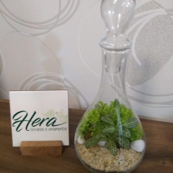 jardinagem-zona-norte-sao-paulo00001