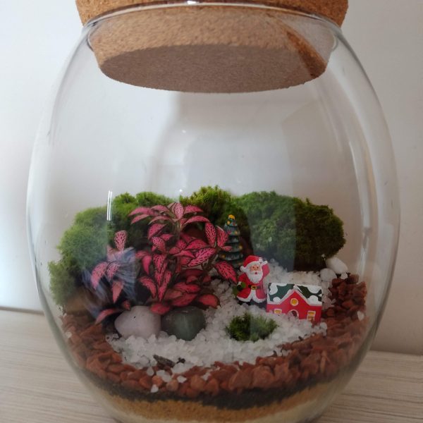 jardinagem-zona-norte-sao-paulo00002